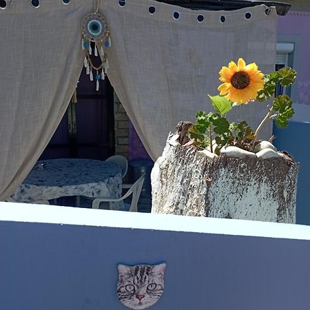 La Gatta Studio Gaios Luaran gambar