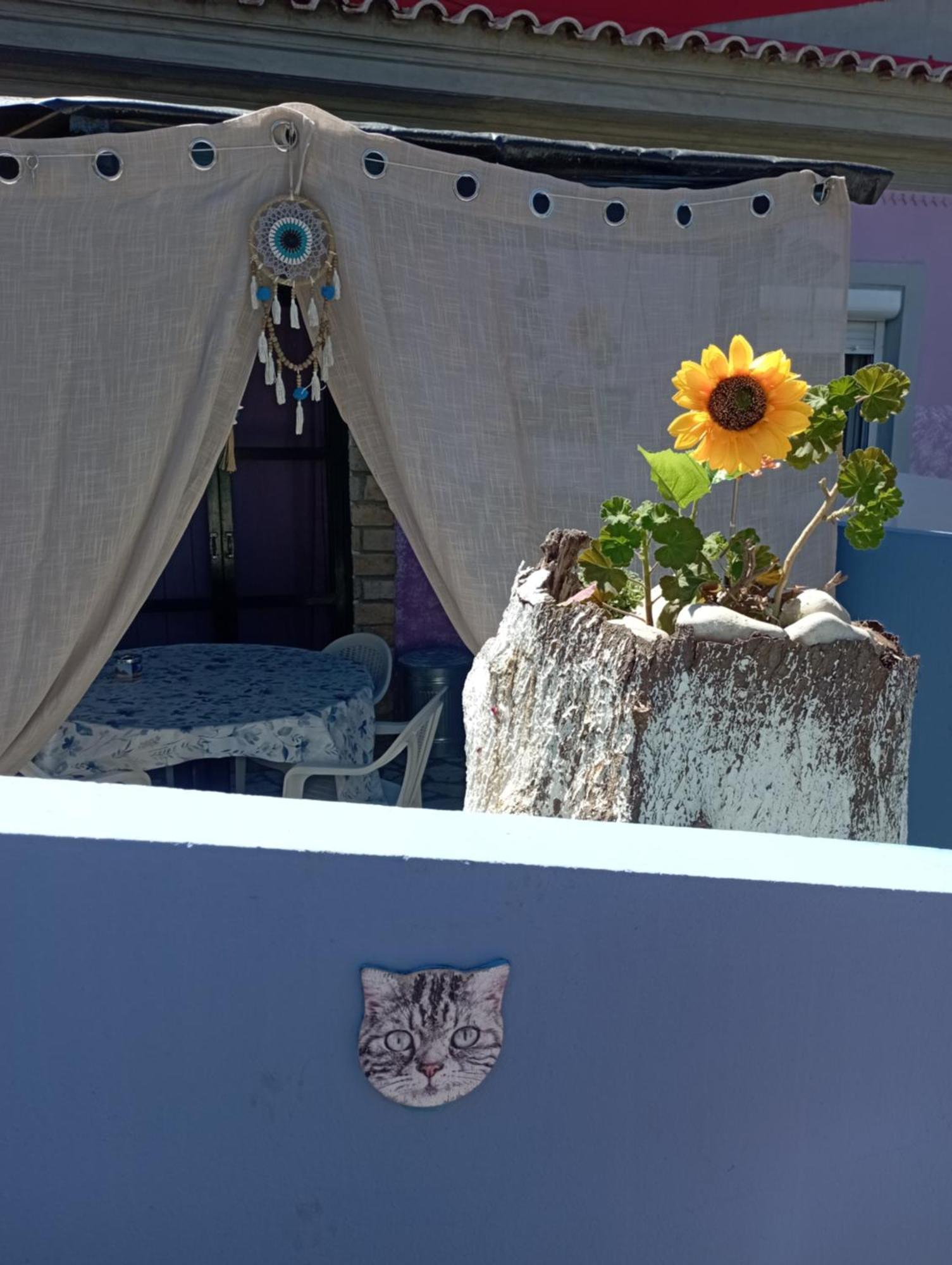 La Gatta Studio Gaios Luaran gambar